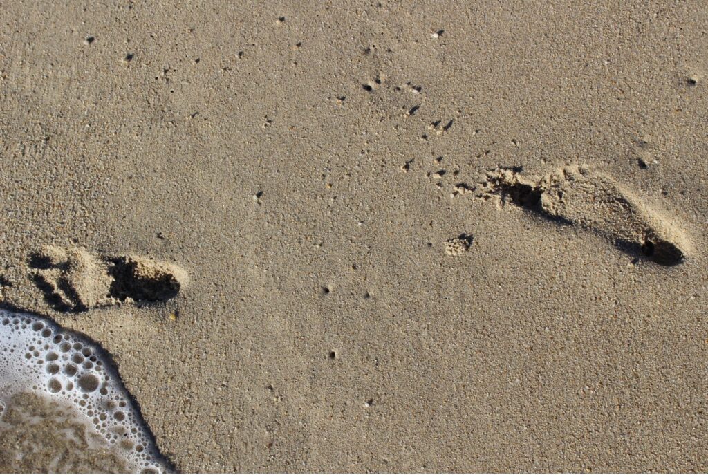 Footprints in the sand and the Three Principles