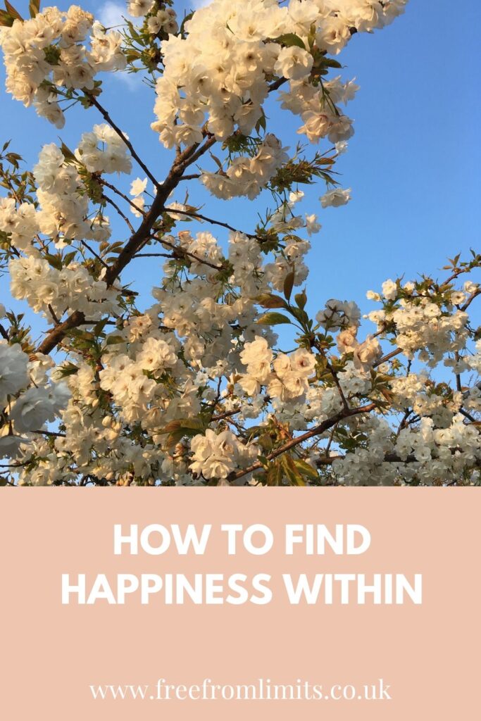 How to find happiness within...