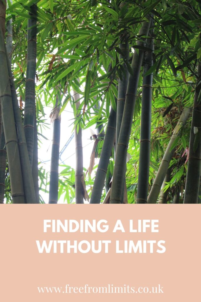 What does a life without limits look like? I'll tell you in this article!