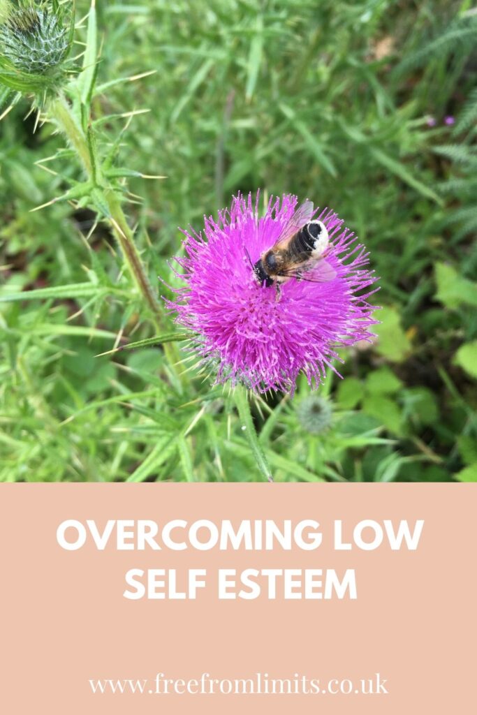 Overcoming low self esteem: how a bee taught me what low self esteem really was.