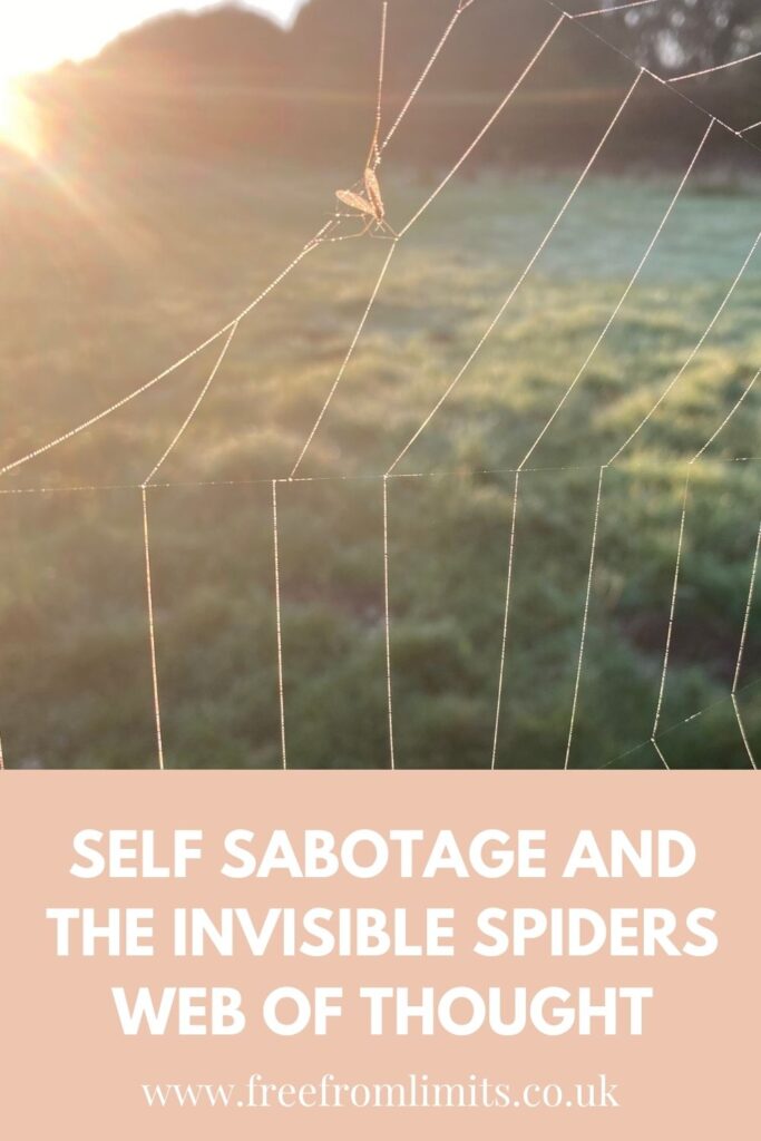 Do you find yourself not doing certain things that you'd like to do? If so read on. In this article I explore self sabotage and the many forms it appears in, along with exploring the invisible spiders web of thought. #thought #threeprinciples #selfsabotage #limitingbeliefs