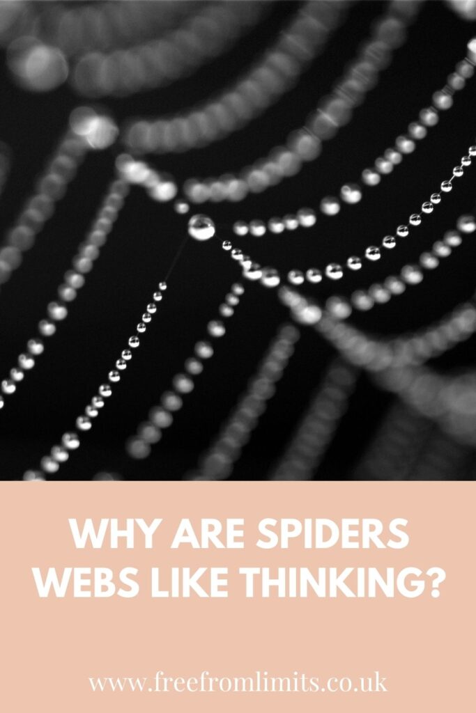 In this article I explore why spiders webs are think thinking. Mostly it's invisible to us although we feel the affects of being trapped in it. But there is freedom... #thought #wellbeing #thinking #overthinking #freedom #mentalhealth