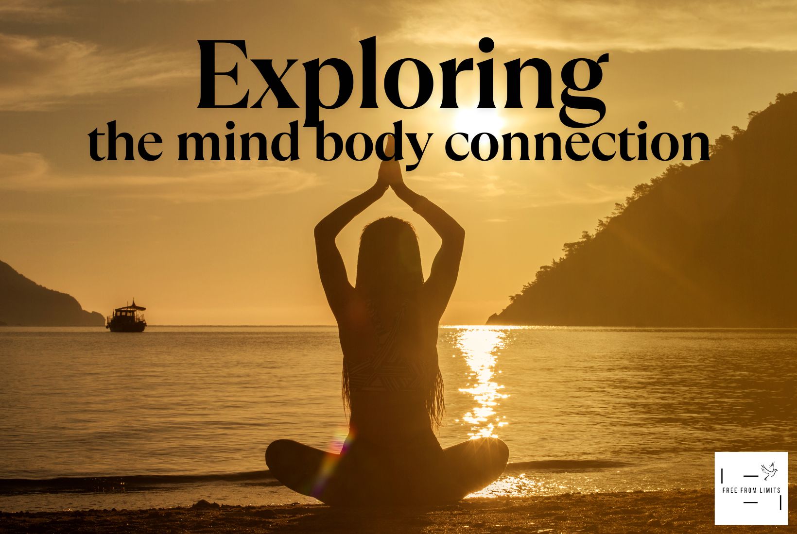 The Mind Body Connection - Free From Limits