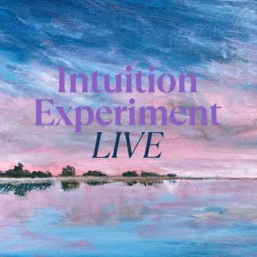 Intuition Experiment - LIVE - 1st December - 29th December 2025